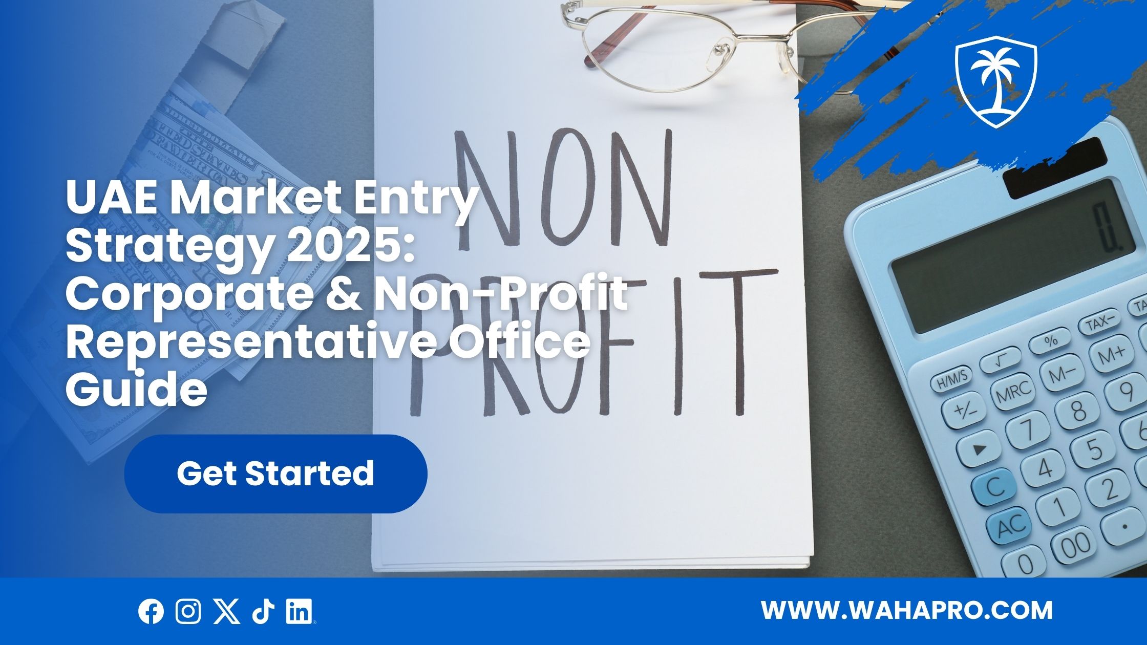 UAE Market Entry Strategy 2025: Corporate & Non-Profit Representative Office Guide
